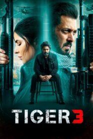 Tiger 3 (Hindi)